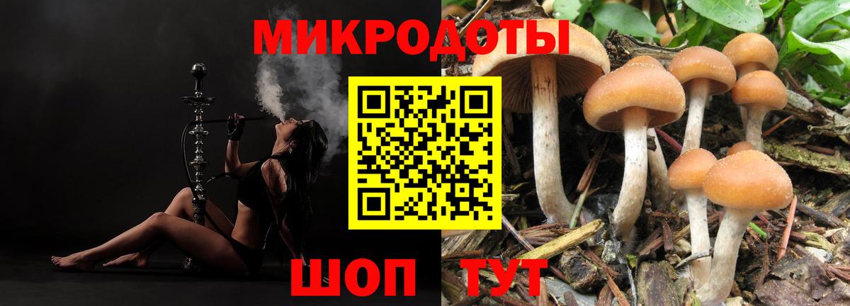 Галлюциногенные грибы Cubensis  Вход с VPN  купить   Усолье-Сибирское 